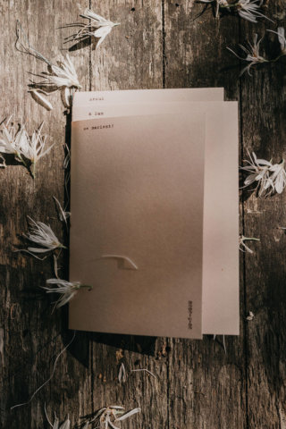 Festival mariage Lyon L'amour l'amour la mode Allonsy Alonso